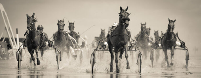 El Origen de las carreras de caballos y su llegada a los casinos